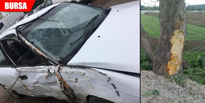 Kontrolden çıkan araç ağaca çarptı: 1 ölü