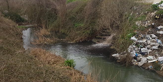 Karsak’tan körfeze pislik akıyor Karsak’tan körfeze pislik akıyor