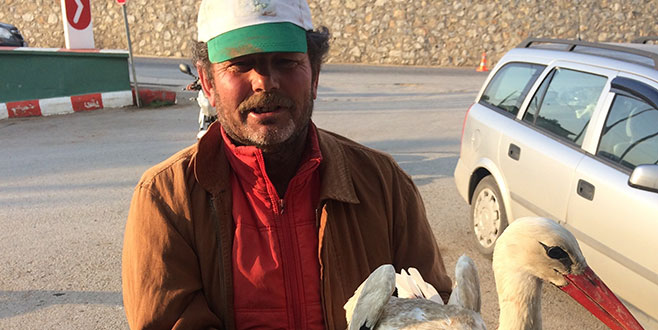 Yaralı leyleğe çiftçi şefkati Yaralı leyleğe çiftçi şefkati