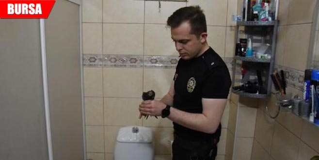 Komiser yardımcısı, evine giren yaralı ebabil kuşuna sahip çıktı Komiser yardımcısı, evine giren yaralı ebabil kuşuna sahip çıktı