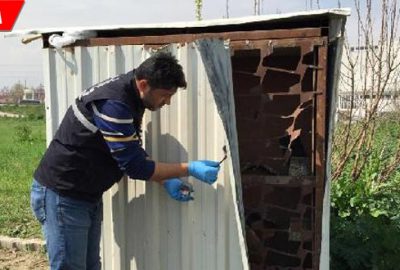 15 bin liralık güvercinleri çalındı