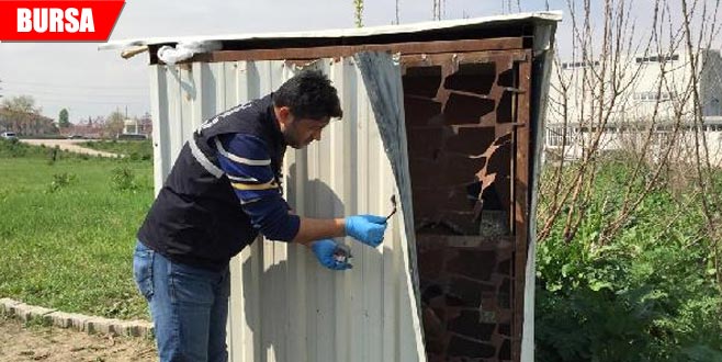 15 bin liralık güvercinleri çalındı 15 bin liralık güvercinleri çalındı