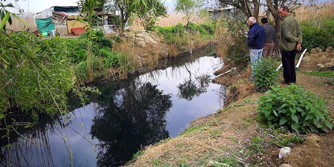 Yine aynı görüntüler! İncesu deresi simsiyah akıyor