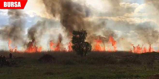 Korkutan yangın Korkutan yangın