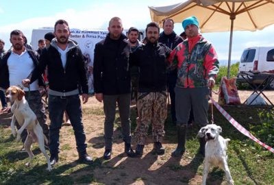 Yenişehir’de av köpekleri yarıştı