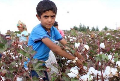 En çok çocuk işçi tarımda