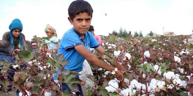 En çok çocuk işçi tarımda En çok çocuk işçi tarımda