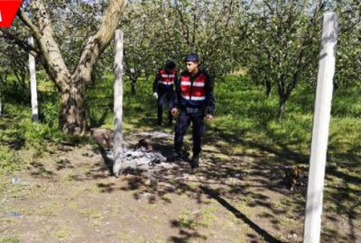 Ormandaki dehşette yeni gelişme! Serbest kaldılar