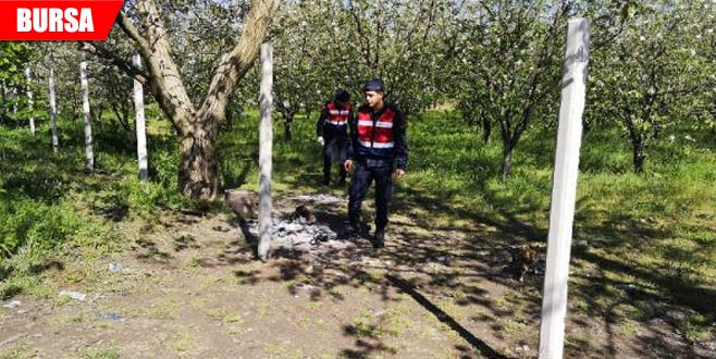 Ormandaki dehşette yeni gelişme! Serbest kaldılar Ormandaki dehşette yeni gelişme! Serbest kaldılar