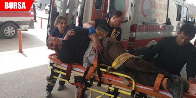 Odun yüklü kamyondan düştü Odun yüklü kamyondan düştü