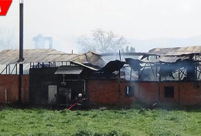 Kereste imalathanesi alevlere teslim oldu