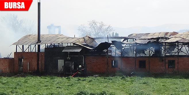 Kereste imalathanesi alevlere teslim oldu Kereste imalathanesi alevlere teslim oldu