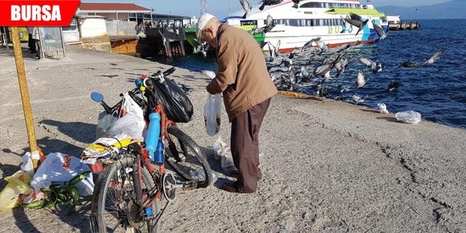 Hayvanlar onun yolunu gözlüyor Hayvanlar onun yolunu gözlüyor