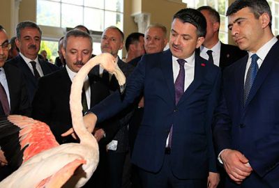 120 bin tohum örneği korunuyor