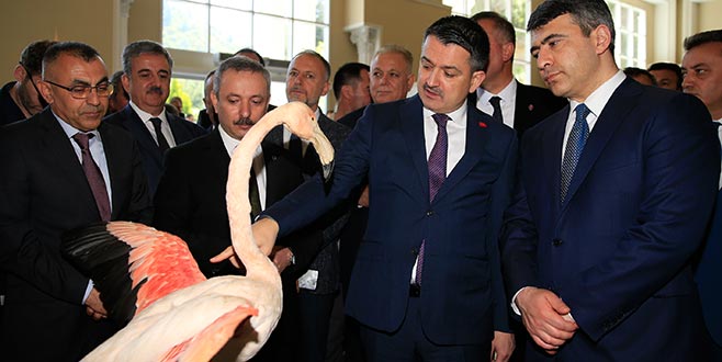 120 bin tohum örneği korunuyor