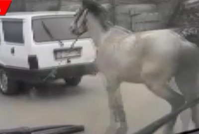 Tepki çeken görüntüler!