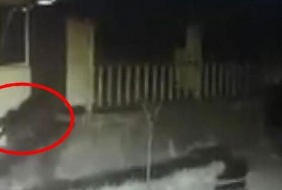 Görüntüyü inceleyince şaşkına döndüler