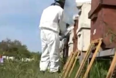 Fiyatı dudak uçuklatıyor ama siparişlere yetişemiyor