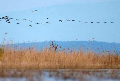 Bu görsel şöleni kaçırmayın