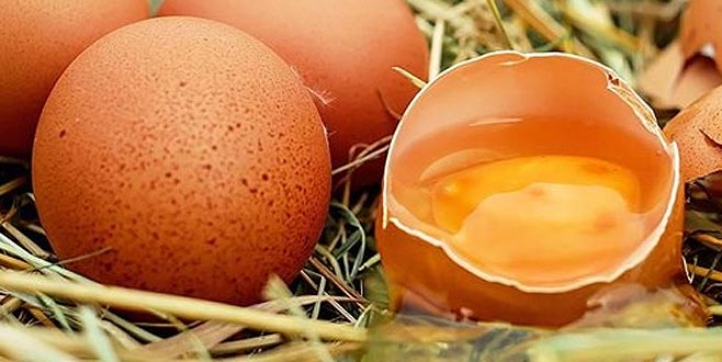 Yumurta üreticisi zorda