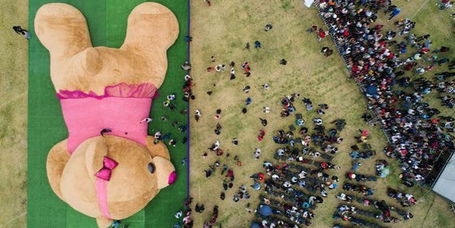 4 ton ağırlığında! İşte dünyanın en büyük ayısı…