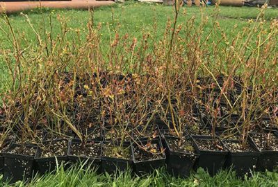 Çiftçiye tam destek