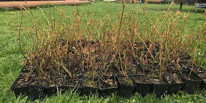 Çiftçiye tam destek Çiftçiye tam destek