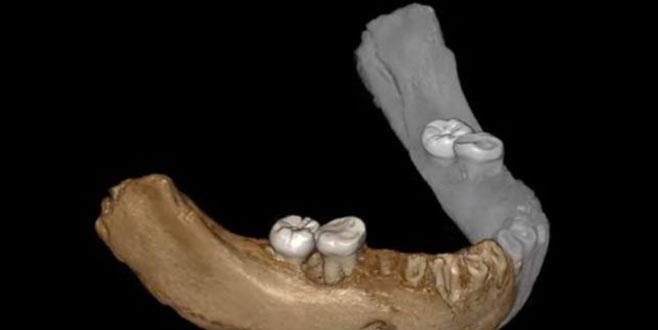 Büyük sır ortaya çıktı! Bilim adamları şaşkın