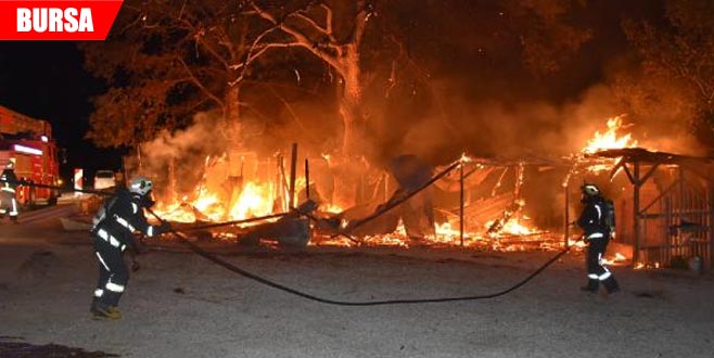 Gece yarısı alev alev yandı