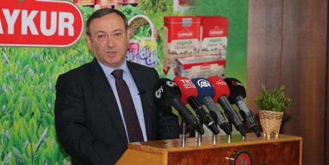 Çay alımları başlıyor