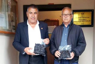 Muhtardan ramazan zeytini