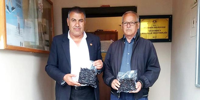 Muhtardan ramazan zeytini