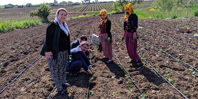 Bursa’da bir ilk olacak! Bursa’da bir ilk olacak!
