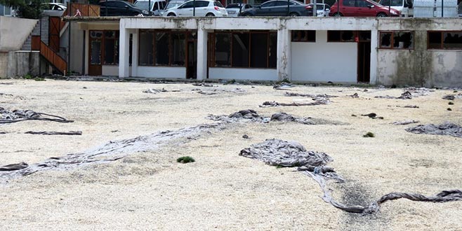 Halı sahadan boşalan alana tinerciler yerleşti