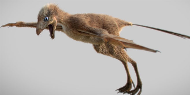 Yarasa kanatlı yeni dinozor türü keşfedildi Yarasa kanatlı yeni dinozor türü keşfedildi