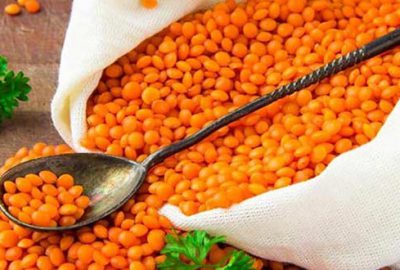 TMO kabuklu kırmızı mercimek alacak