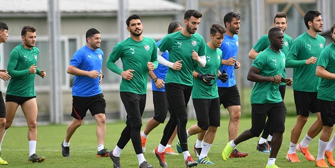 Timsah çalışıyor