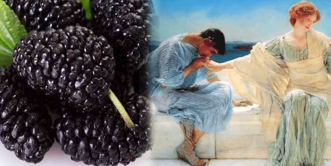 Karadutun sırrı büyük bir aşkta gizli Karadutun sırrı büyük bir aşkta gizli