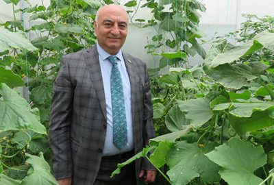 Sera yatırımlarına ekspertiz engeli