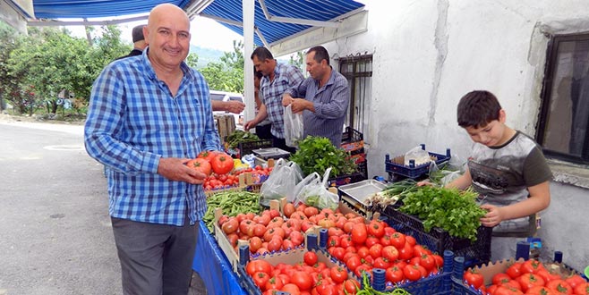 Mürsel Mahallesine organik pazar Mürsel Mahallesine organik pazar