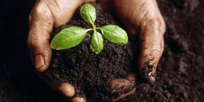 Atalık tohum ürünleri raflarda yerini alacak