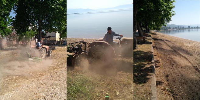 Muhtar kendi traktörüyle sahili temizledi Muhtar kendi traktörüyle sahili temizledi