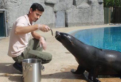 Fok ile bakıcısının dostluğu hayran bırakıyor