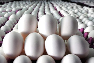 Yumurtanın kolisi 5 liraya düştü