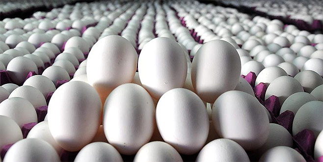 Yumurtanın kolisi 5 liraya düştü