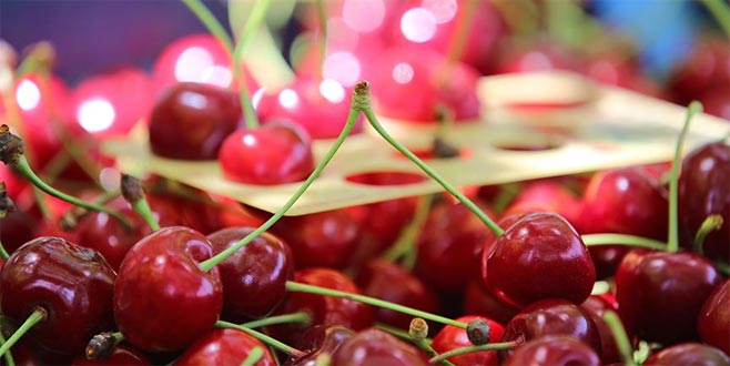 Çin’e kiraz ihracatı artık ‘beklemeyecek’