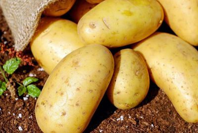 Türkiye patates üretiminde ilk 10’da