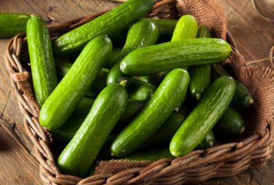 En fazla düşüş salatalıkta