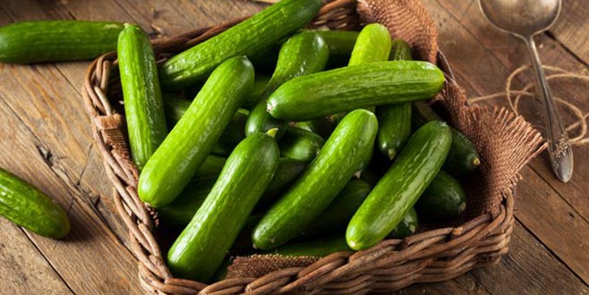 En fazla düşüş salatalıkta