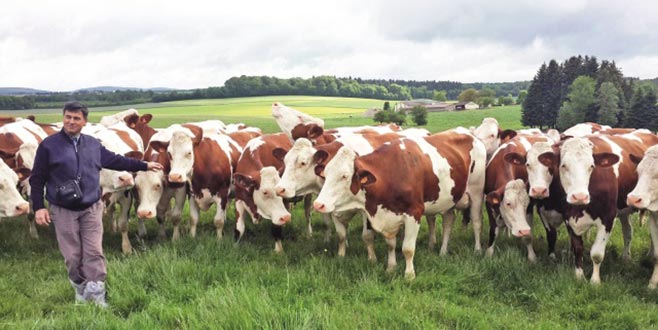 Hayvancılığa yatırım yapılmalı